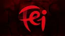 Fei banner