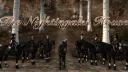 TNH OPEN SERVER banner