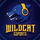 Wildcat Esports banner