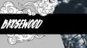 The Woods banner