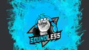 Soundless Esports - Community banner