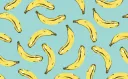liNe___ banner