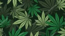Puff Puff Palace banner