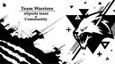 Team Warriors Banner