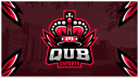 QUB Esports Discord server banner