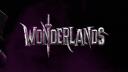 THE BORDERLANDS CREW Banner