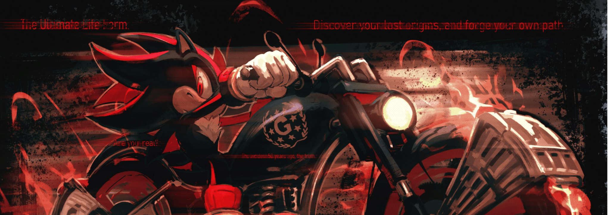 S.T.H Banner