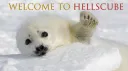 Hellscube: Heckscube 2: Hecklands banner