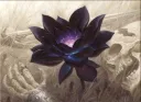 Black Lotus (ARCHIVE ) banner
