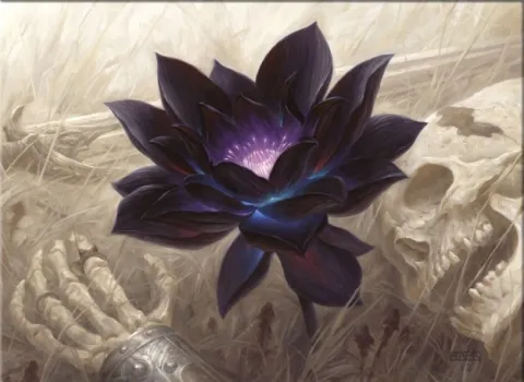 Black Lotus (ARCHIVE ) banner