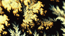 Universium banner