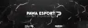 Pawa banner