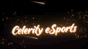 Celerity eSports banner