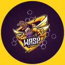 WASP E-Sports banner