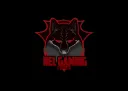 NEL Official Community Server banner