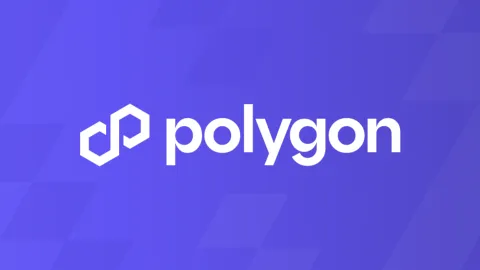 Polygon Support banner