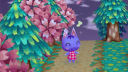 Animal Crossing: Wiimmfi World 🍃 Banner