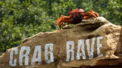 Crab Rave banner