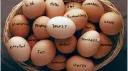 ✨ egg ✨ banner