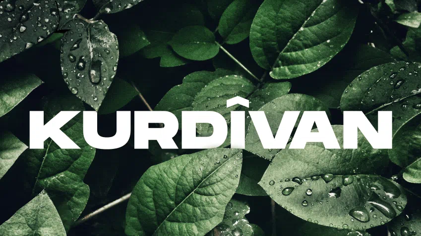 Kurdîvan Discord server banner