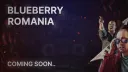 [🔹] - BlueBerry HardRP banner