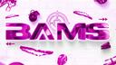 BAMS Banner
