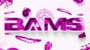 BAMS banner