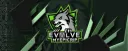 Evolve Gaming banner