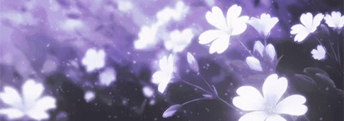 xKayanox Banner