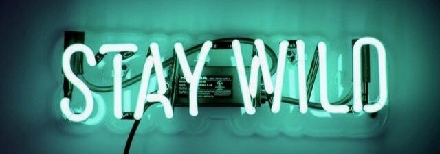 πΌππππππππππππππ. Banner
