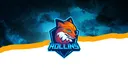 Rollins College Esports banner