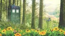 ๐๐๐ฅ๐ฃ๐๐ฉ ๐ ๐ ๐๐๐๐ Discord server banner