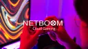 NetBoom Global Banner