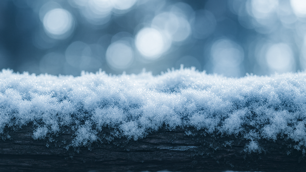 The Moss 18+ Discord server banner