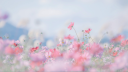 Engrish' Bizarre Discord! Discord server banner