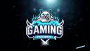  ASSO GAMING-ISEROIS Banner