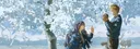 banner