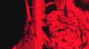 𝕻𝖆𝖗𝖆𝖉𝖎𝖘𝖔 Banner