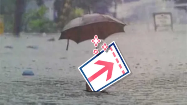 banner
