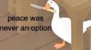HONK banner