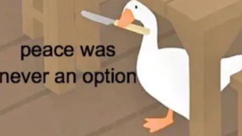 HONK banner