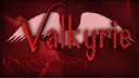 Valkyrie banner