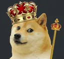 Doge Land banner