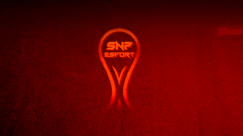 SnP Esport Battlefield banner