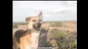 Bam Bam's Server banner