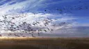 ꜱᴘᴜɴᴋʏ ᴛᴏᴡɴ banner