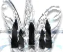 Void banner