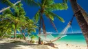 Fiji banner