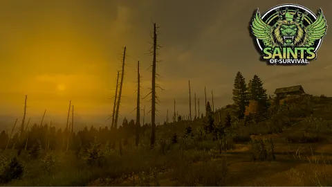 Saints Of Survival banner