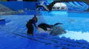 SeaWorld Entertainment banner
